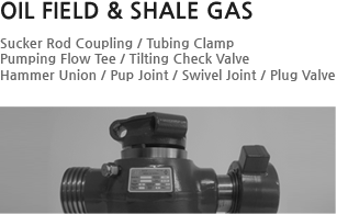 Shale Gas